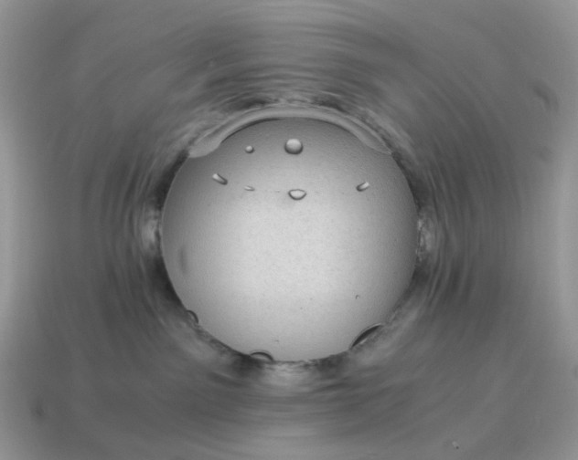 X0000115060141200911091454