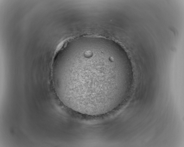 X0000115060144200911091454