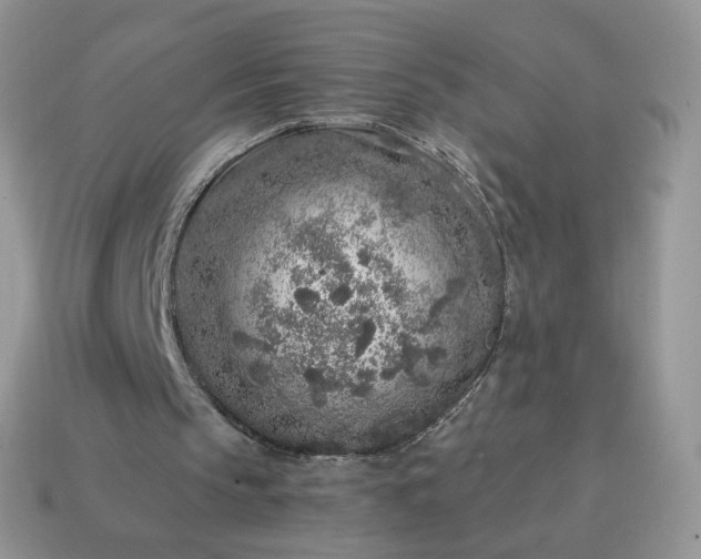 X0000115060145200911091453