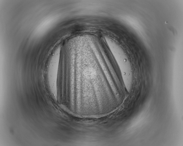 X0000115060146200911091453