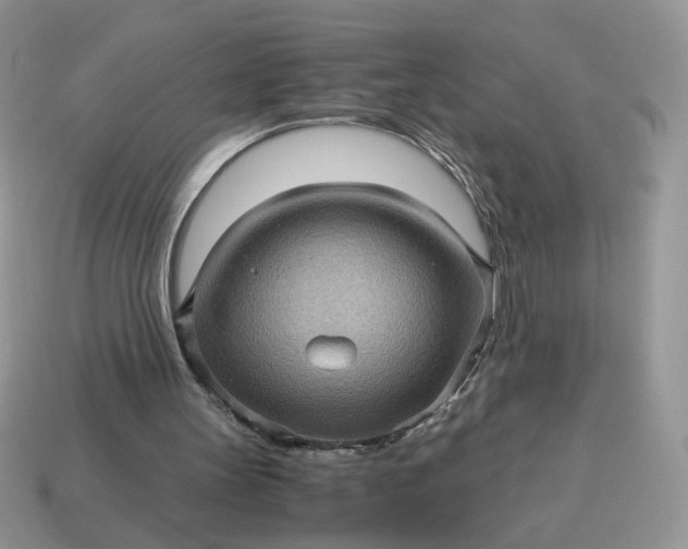 X0000115060147200911091453