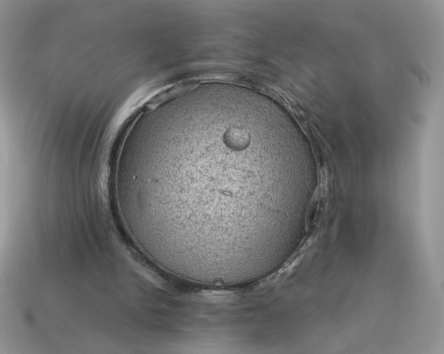 X0000115060150200911091453