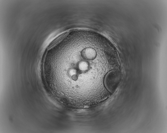 X0000115060151200911091453