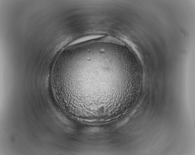 X0000115060153200911091453