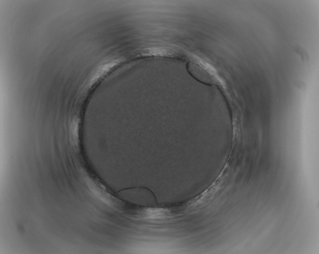 X0000115060154200911091453