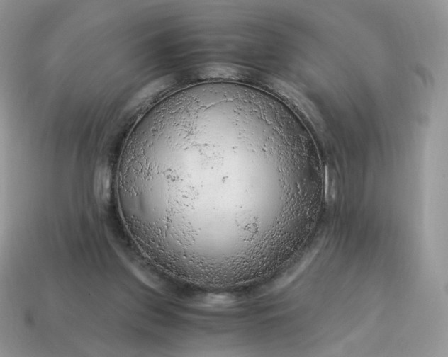 X0000115060157200911091453