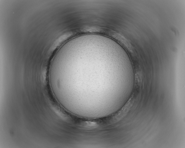 X0000115060159200911091453