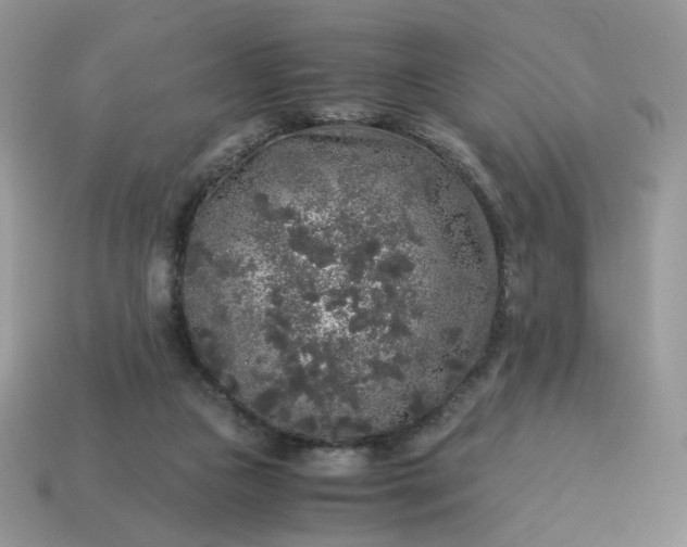 X0000115060161200911091454