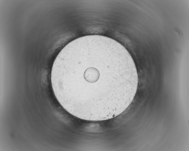 X0000115060162200911091454