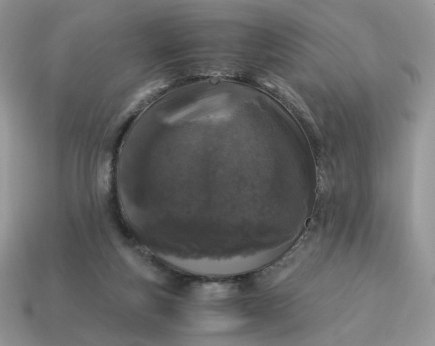 X0000115060163200911091454