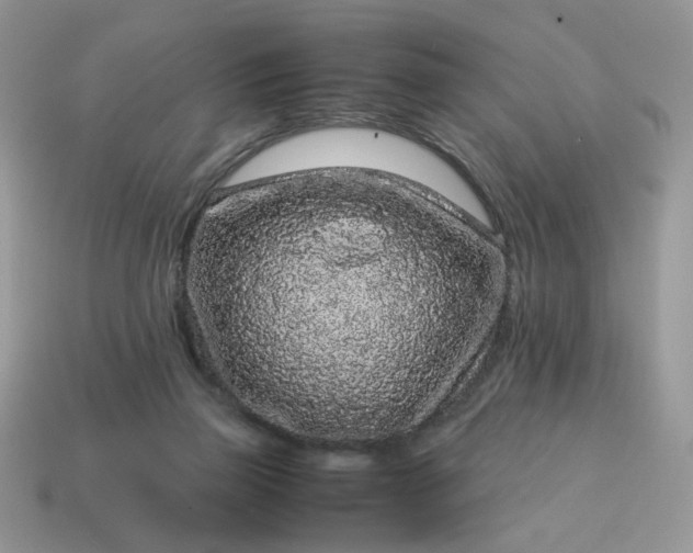 X0000115060165200911091454