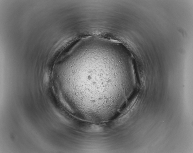 X0000115060166200911091454