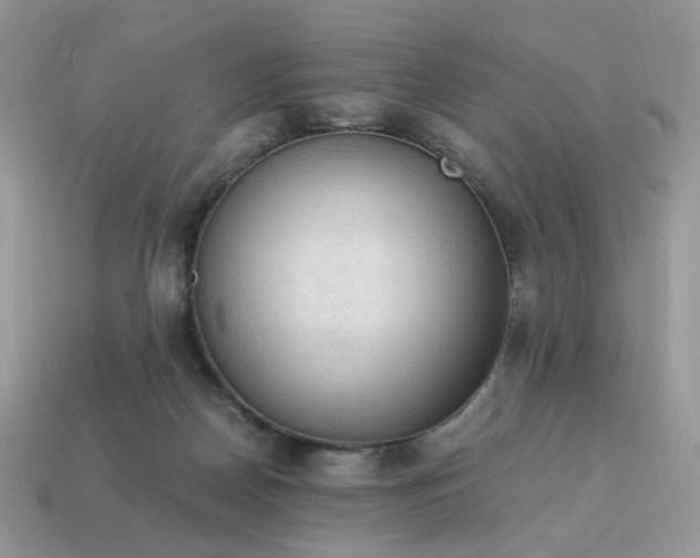 X0000115060170200911091454