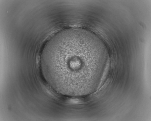 X0000115060171200911091454