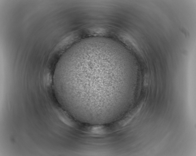 X0000115060173200911091454