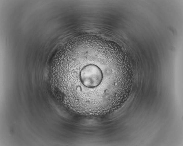 X0000115060175200911091454