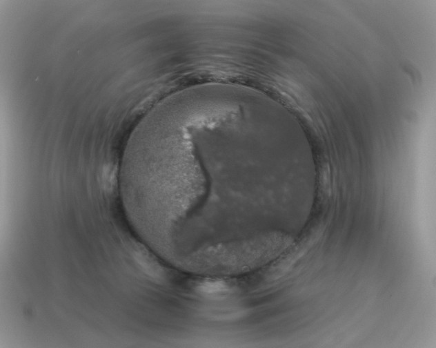 X0000115060177200911091454