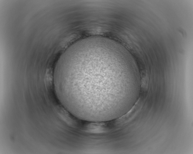 X0000115060179200911091454