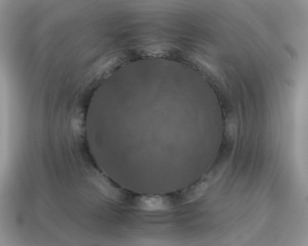 X0000115060181200911091454