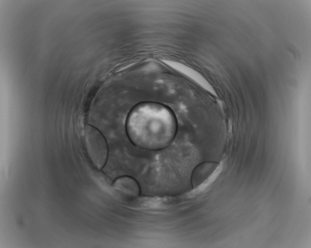 X0000115060182200911091454