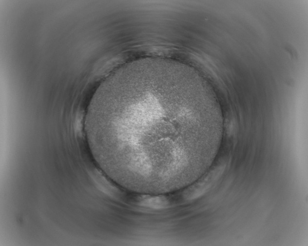 X0000115060185200911091454