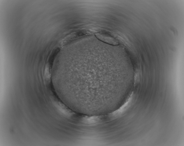 X0000115060186200911091454