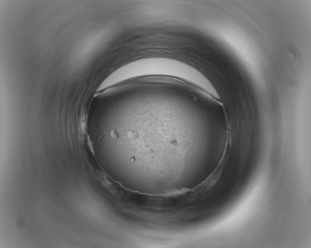 X0000115060190200911091454