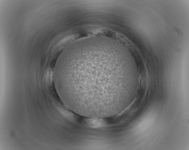 X0000115060191200911091454