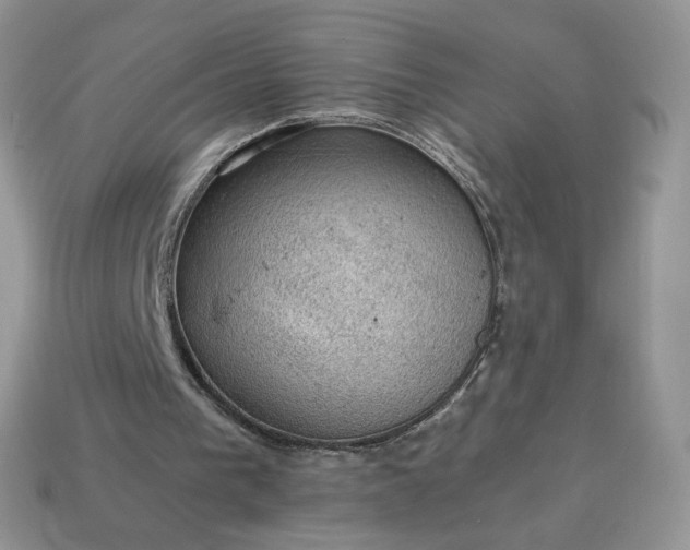 X0000115060193200911091453