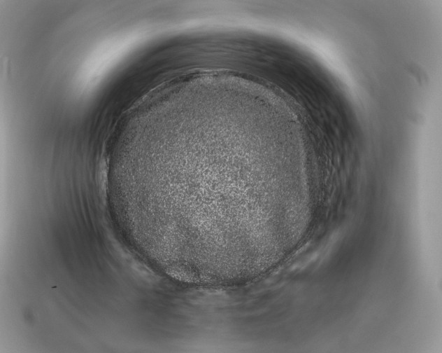 X0000115060194200911091453