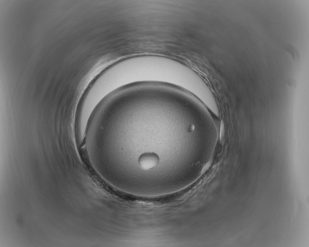 X0000115060195200911091453