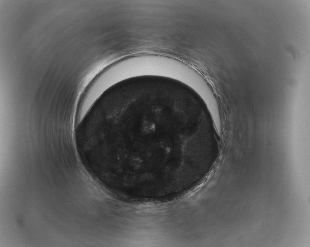 X0000115060196200911091453