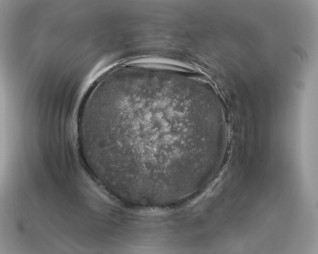 X0000115060198200911091453