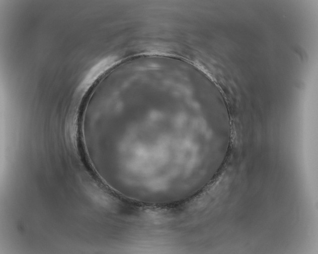 X0000115060199200911091453