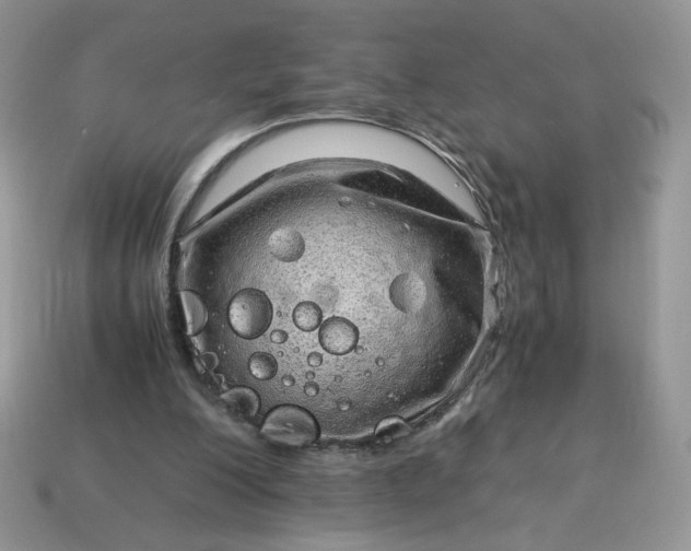 X0000115060200200911091453