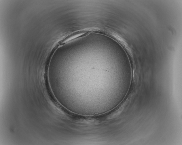 X0000115060201200911091453