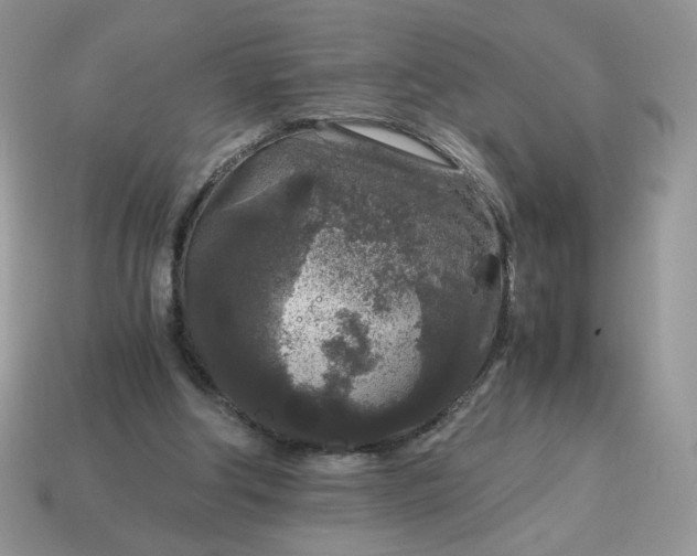 X0000115060202200911091453