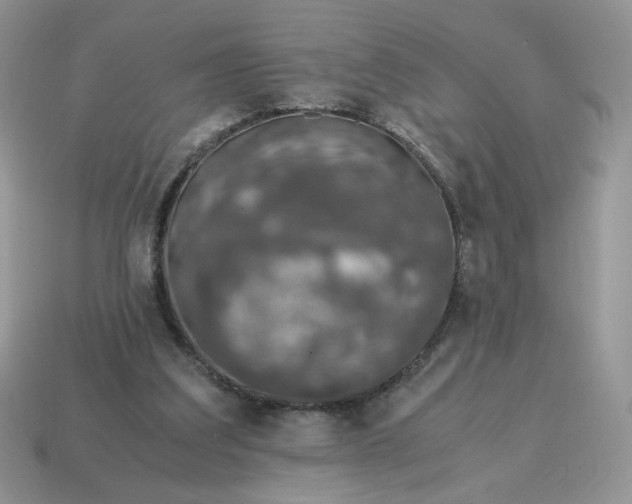 X0000115060203200911091453