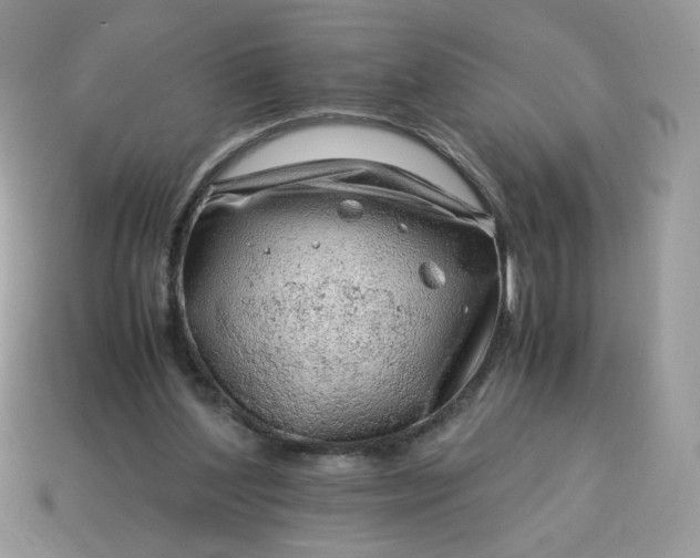 X0000115060204200911091453