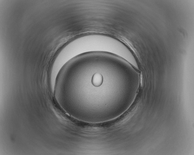 X0000115060205200911091453