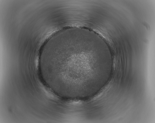 X0000115060206200911091453