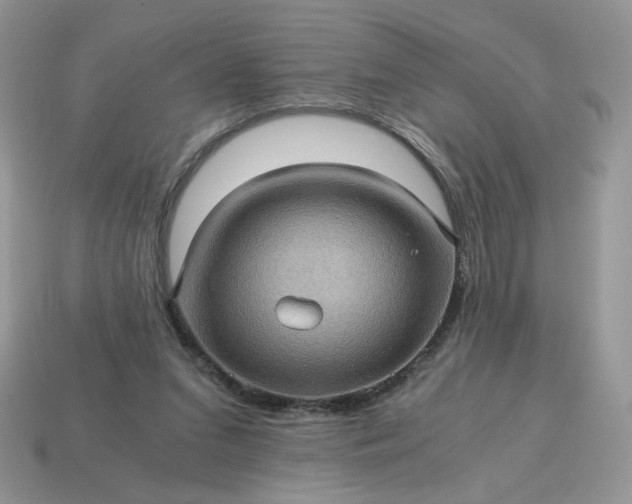 X0000115060207200911091453