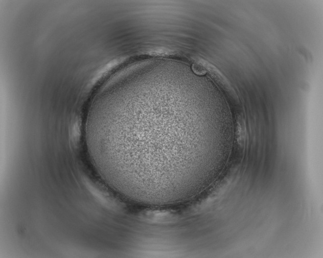 X0000115060208200911091453