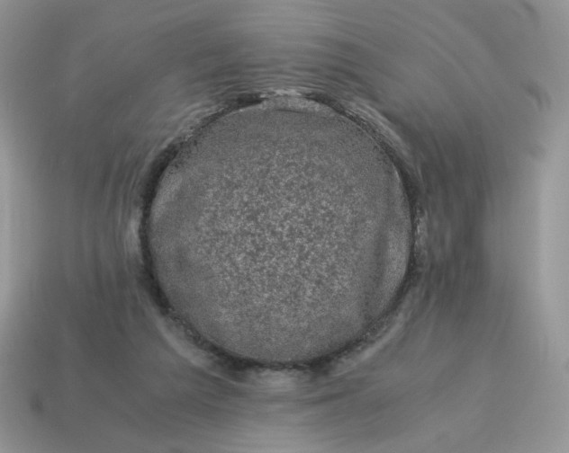 X0000115060209200911091453