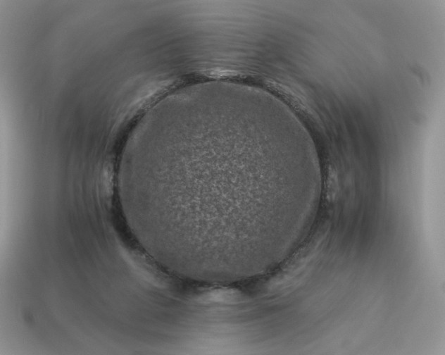 X0000115060210200911091453