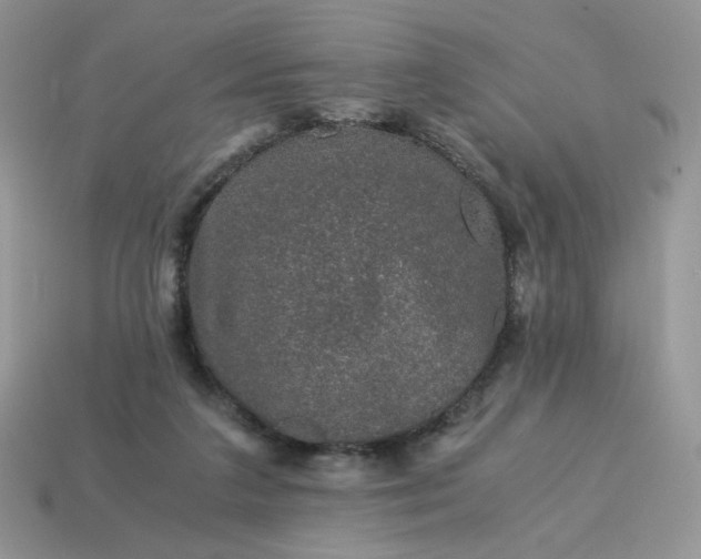 X0000115060211200911091453