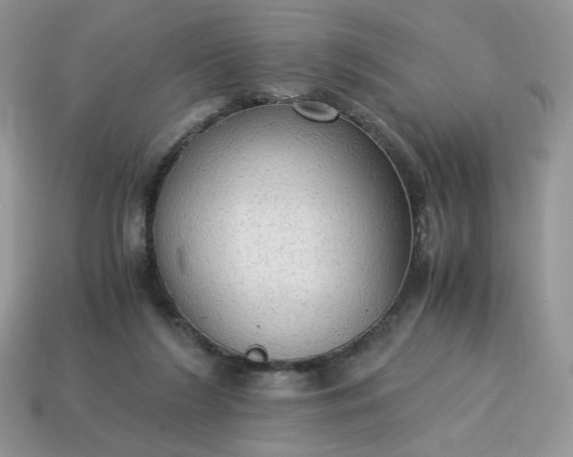 X0000115060212200911091453