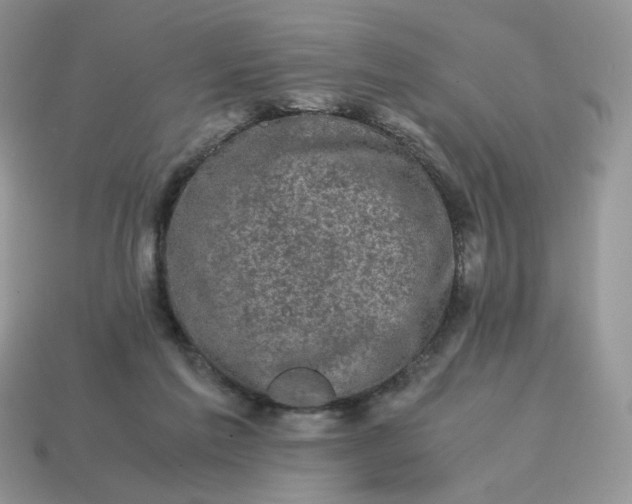 X0000115060213200911091453