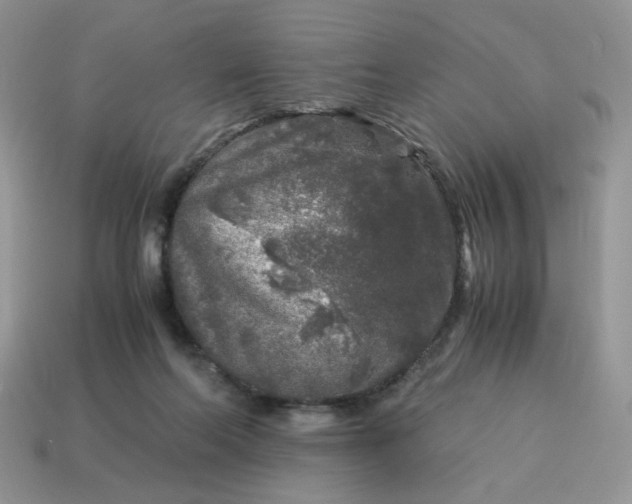 X0000115060214200911091453