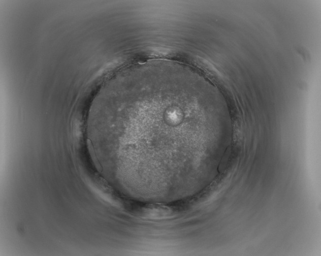 X0000115060215200911091453